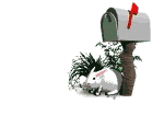 Still Life with rabbit and e-mail